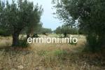 GL 0198 - Coastal Land - Dardiza - Ermioni